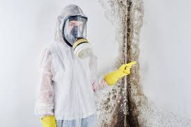  , USA Mold Removal Services Pros